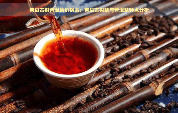 吉良古树普洱茶价格表：吉良古树茶与普洱茶特点分析