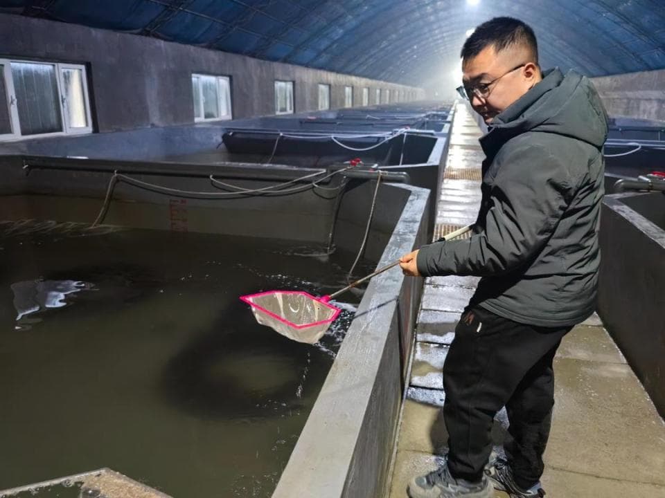 一“马”当先！东港小海马长成大产业