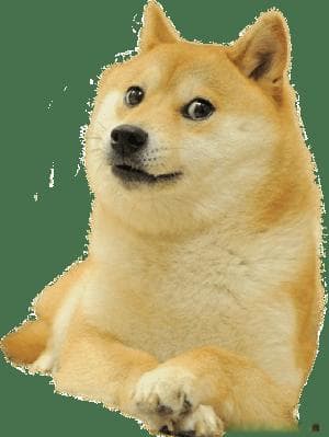 刚被狗狗弄伤了，为什么今年医生的处理方式和之前不一样