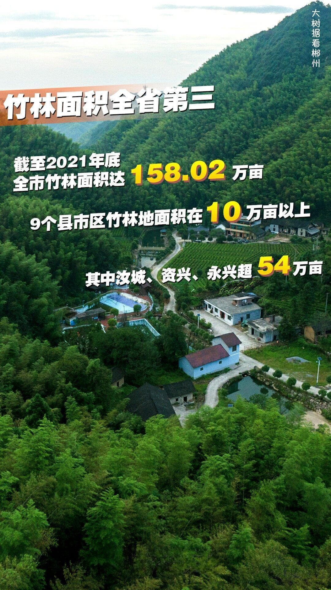 湖南：大力推进 500 万亩可持续森林建设，迈向绿色发展新征程