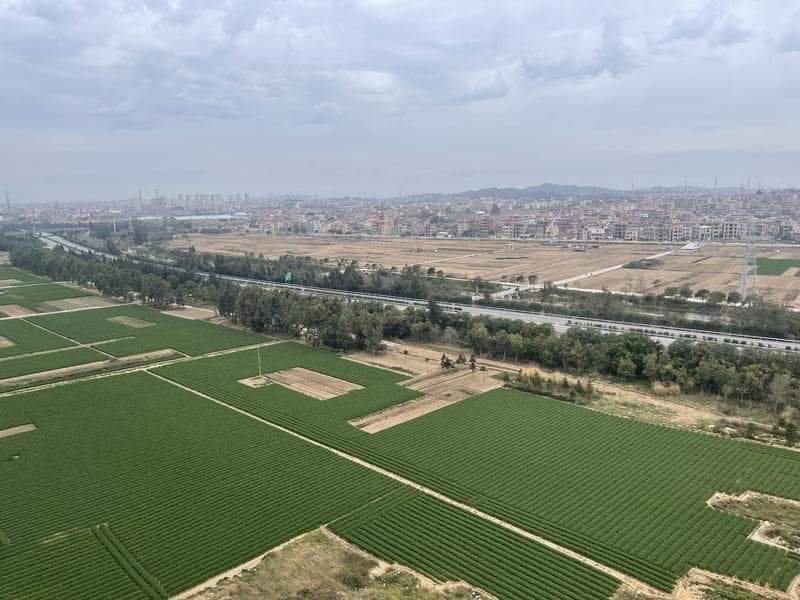 树根对房子地基的影响及原因分析
