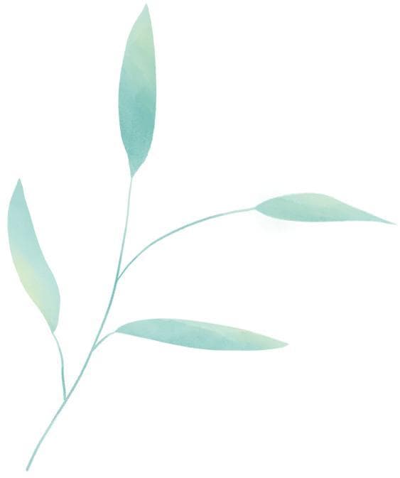【植树节·以案释法】法护青山绿 律守万木春