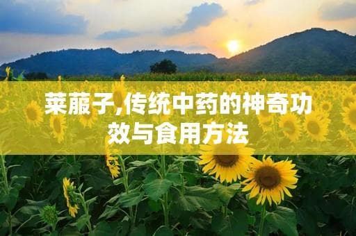 莱菔子：传统中药的神奇功效与食用方法