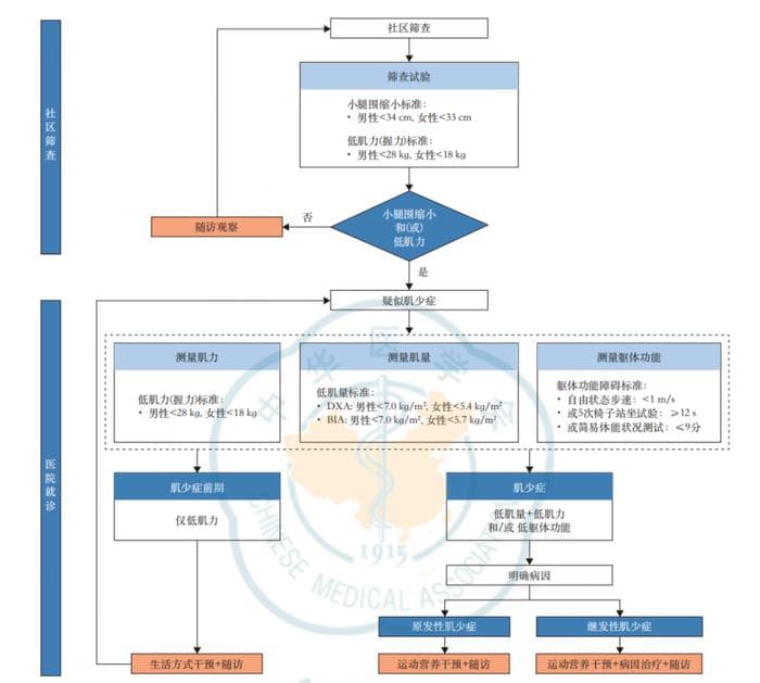 《中国肌肉减少症诊疗指南（2024版）》发布，开启肌少症诊疗新征程