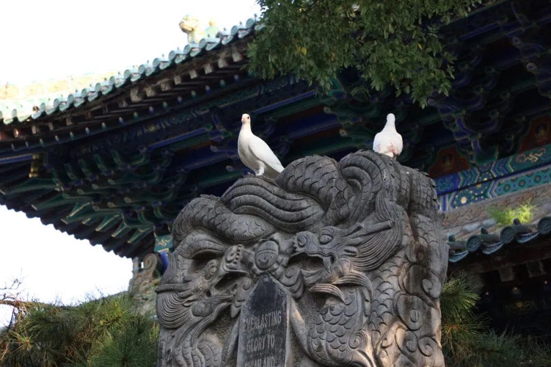 佛事“放焰口”是什么，放焰口的由来