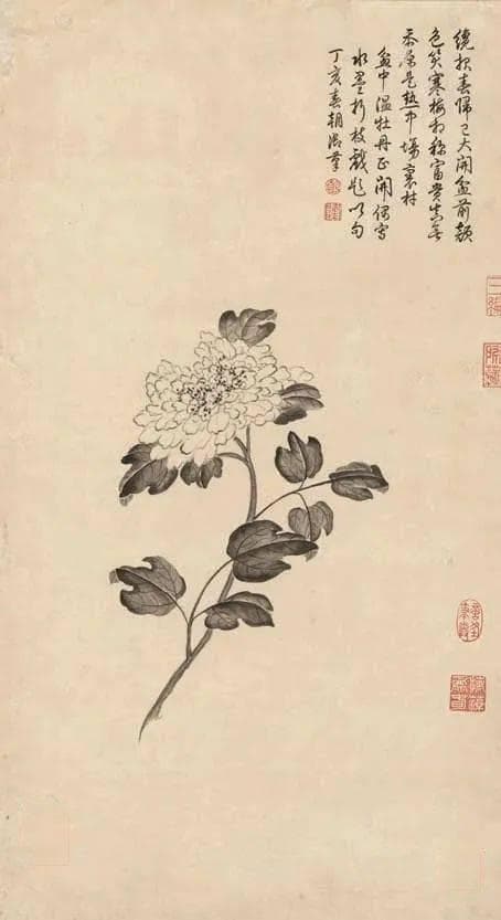 画中寻国色，乾隆朝的牡丹画是如此精美！
