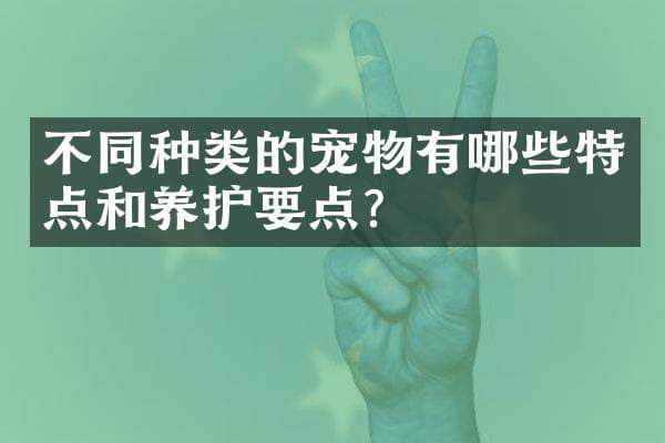 不同种类的宠物有哪些特点和养护要点？