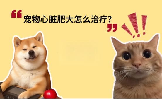 宠物猫狗心脏肥大：病因、诊断与治疗全解析