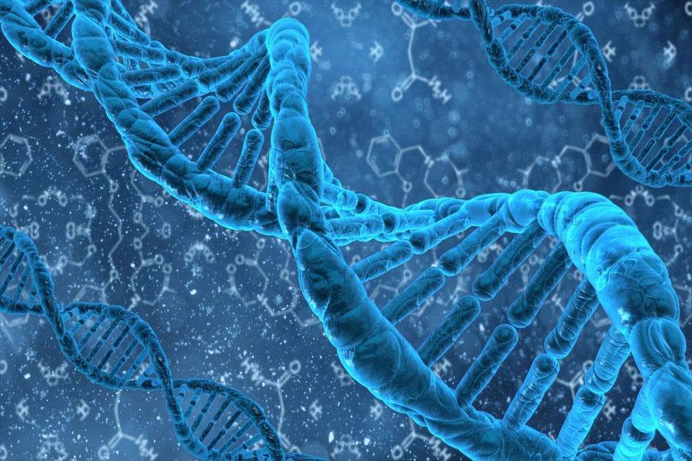 我科学家发现调控寿命的新基因