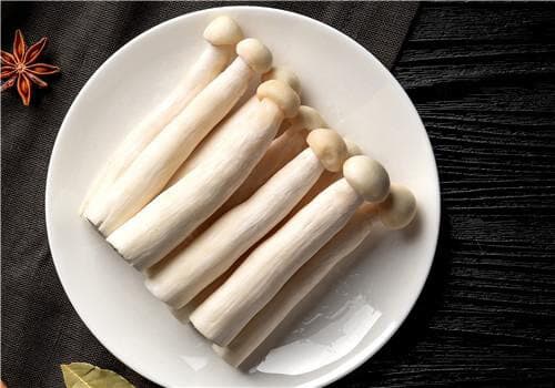 杏鲍菇烹饪全攻略：从挑选到烹饪的实用指南