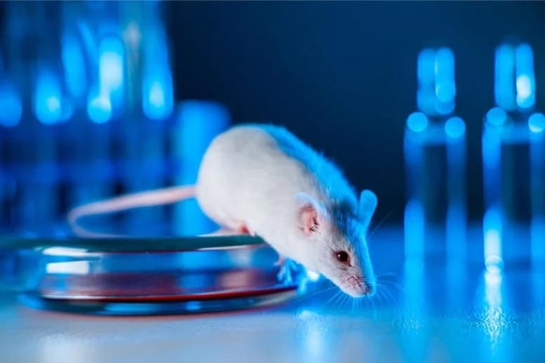 挑战生物学：中国科学家用双父改造老鼠