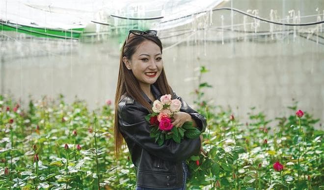 拉萨达孜区：玫瑰非洲菊竞相绽放，市民周末采摘忙