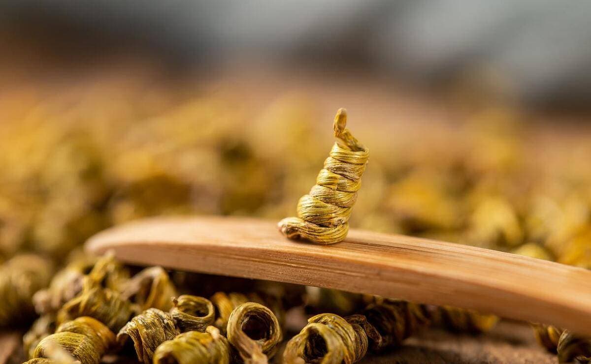石斛的五种巧妙搭配，滋阴生津效果佳！