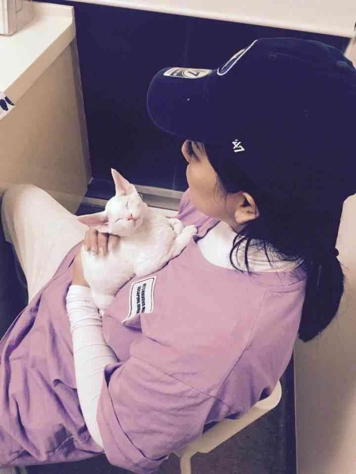 国产动漫《猫咪侠》：一只猫咪的奇幻变身之旅