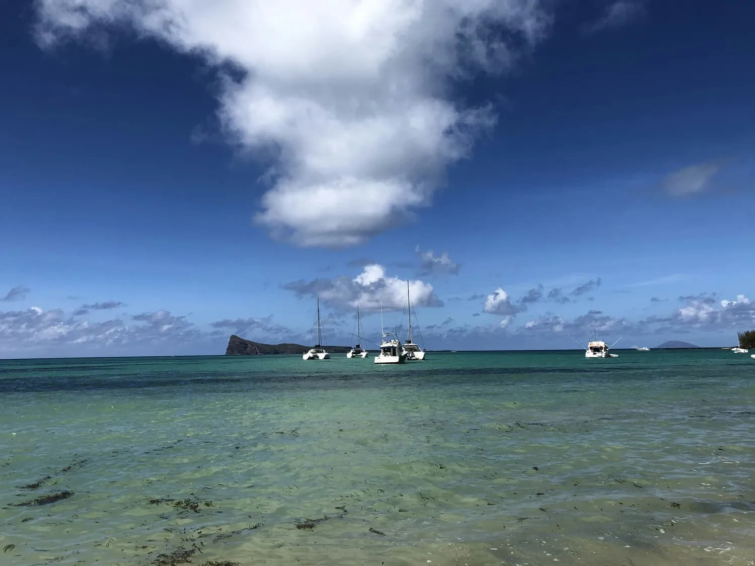 大连：黄渤两海间的避暑胜地