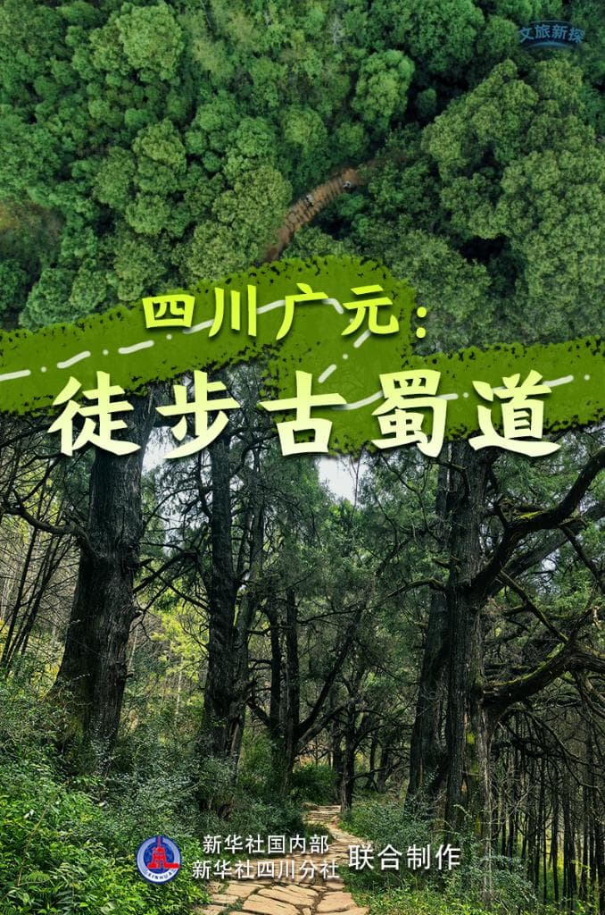 四川广元：徒步古蜀道