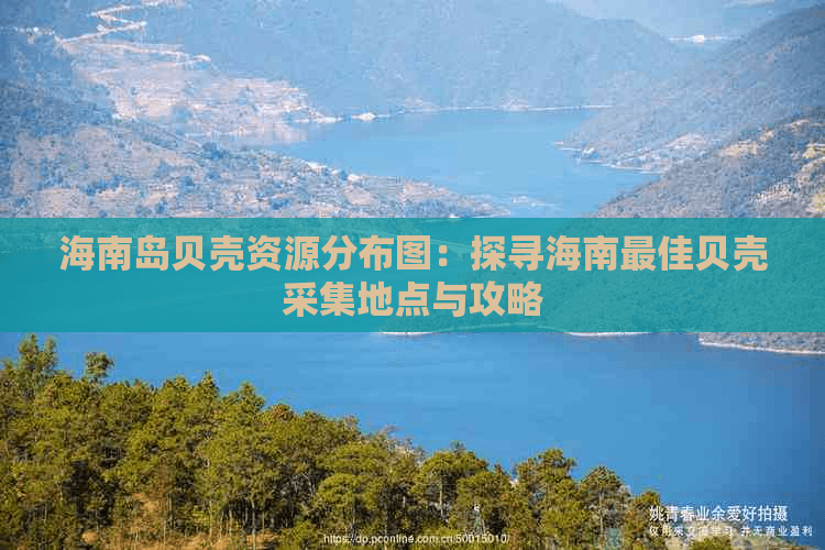 海南岛贝壳资源分布图：探寻海南更佳贝壳采集地点与攻略