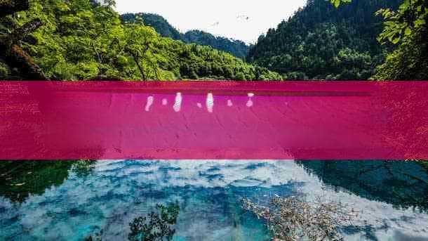 顺德深度游攻略：美食、景点、住宿一站式指南