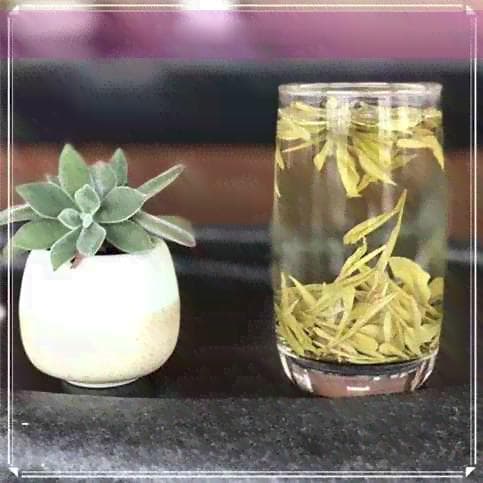 爷爷适合喝什么茶？全面解析茶叶种类与功效