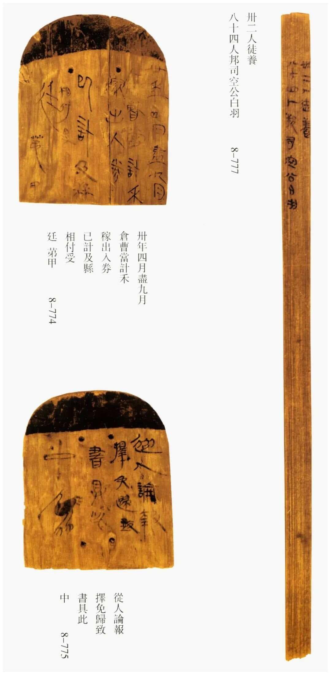 湖南出土的千余枚竹木简大集合，太精彩！