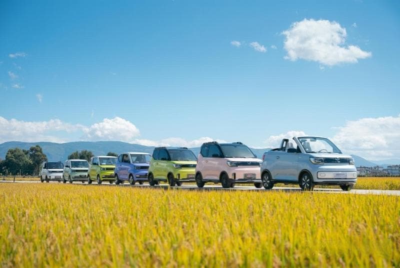 出口欧美的四轮“老头乐”国内上路难，中小企业呼吁出台相关标准