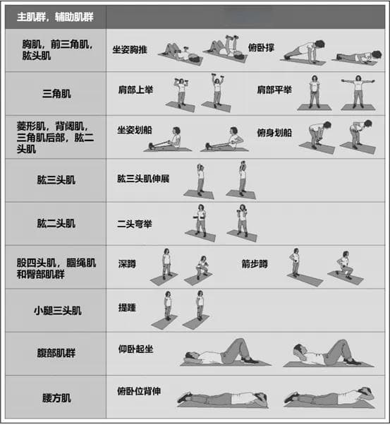 解读 | AHA科学声明：伴或不伴心血管疾病人群的抗阻训练指南（下）