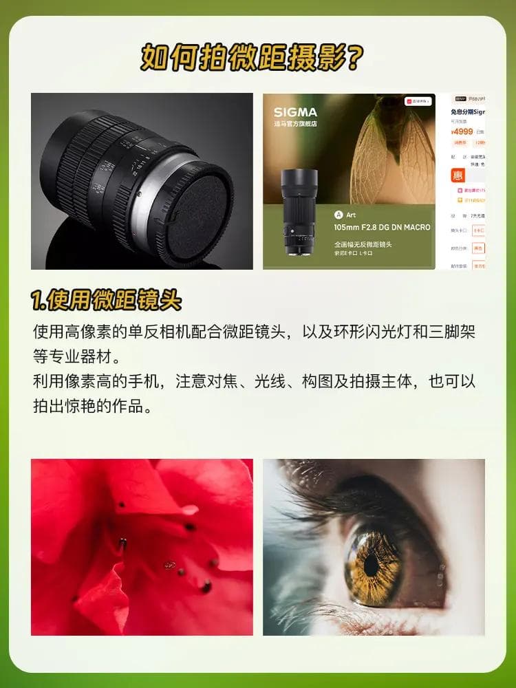 摄影入门|三种实用的微距拍摄方法详解