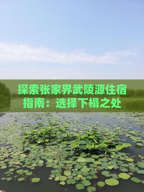 探索张家界武陵源住宿指南：选择下榻之处