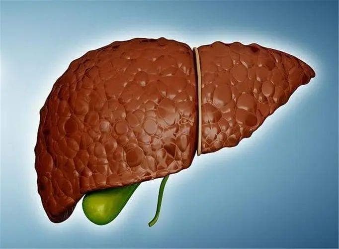 从肝硬化到软肝10多年不复发，这5点至关重要