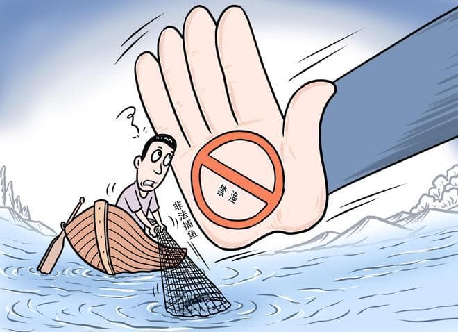 长江的“喜和悲”：十年禁渔让江豚、刀鱼回归，白鱀豚却已功能性灭绝