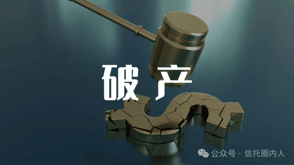 比惨！银行、保险、信托公司破产后，自然人的不同结局！