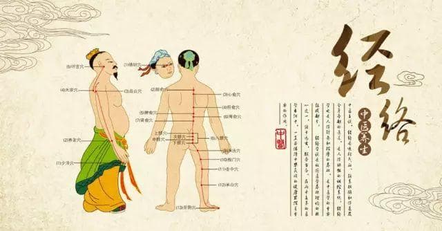 中医奇经八脉详解（附奇经八脉动态图）