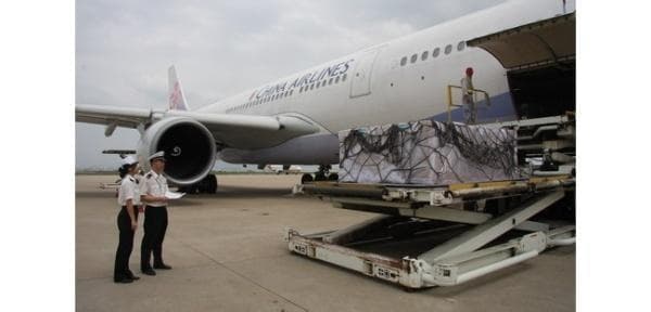 天津航空托运须知：从手续到赔偿的全面指南