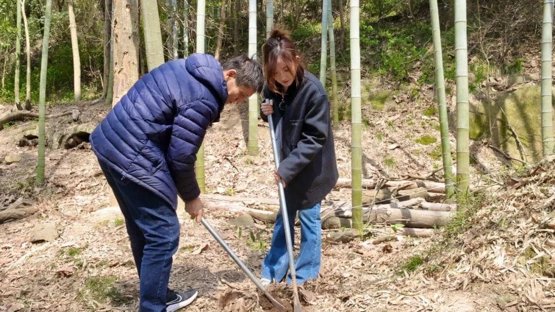 兰笋飘香！上海佘山的春日寻味之旅