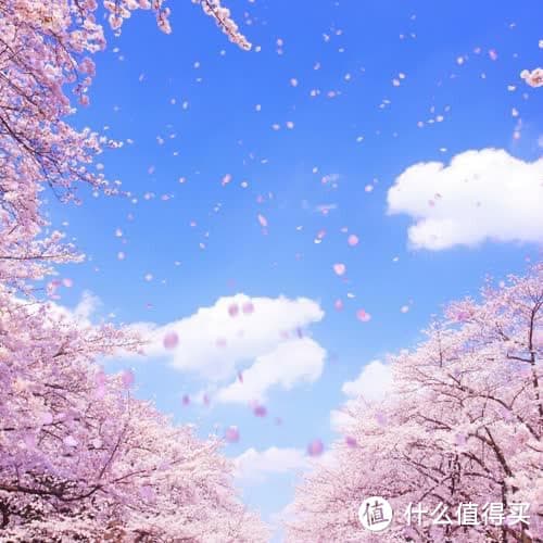 多元化视角下的社会问题解析