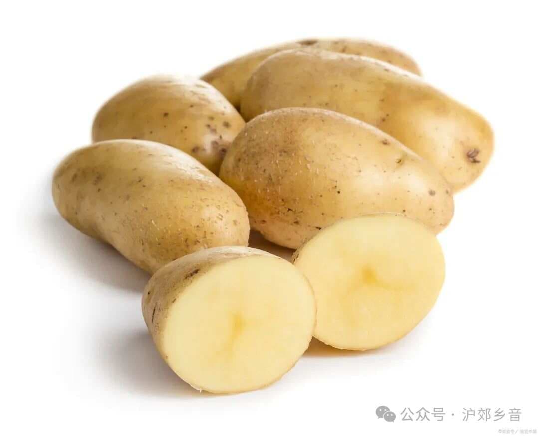 上海地区“土豆”的多种说法及其历史渊源