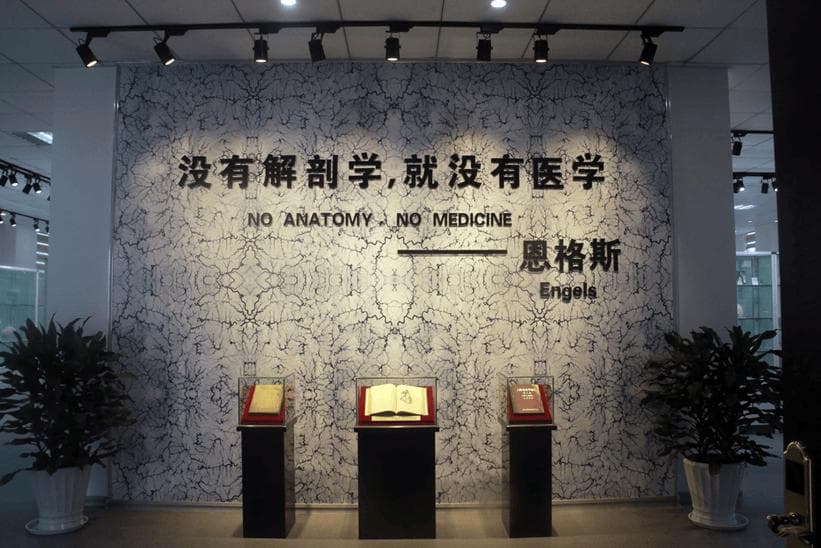 送别5位“大体老师” 感恩他们的另一种存在