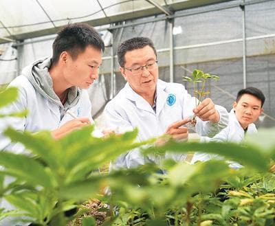 农业种质资源亮“家底”