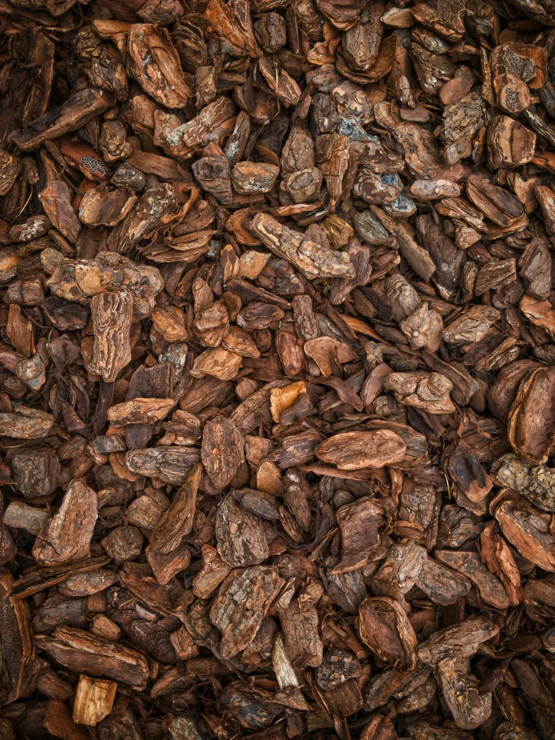 专家提醒：葛根灵芝片不能替代药物治疗