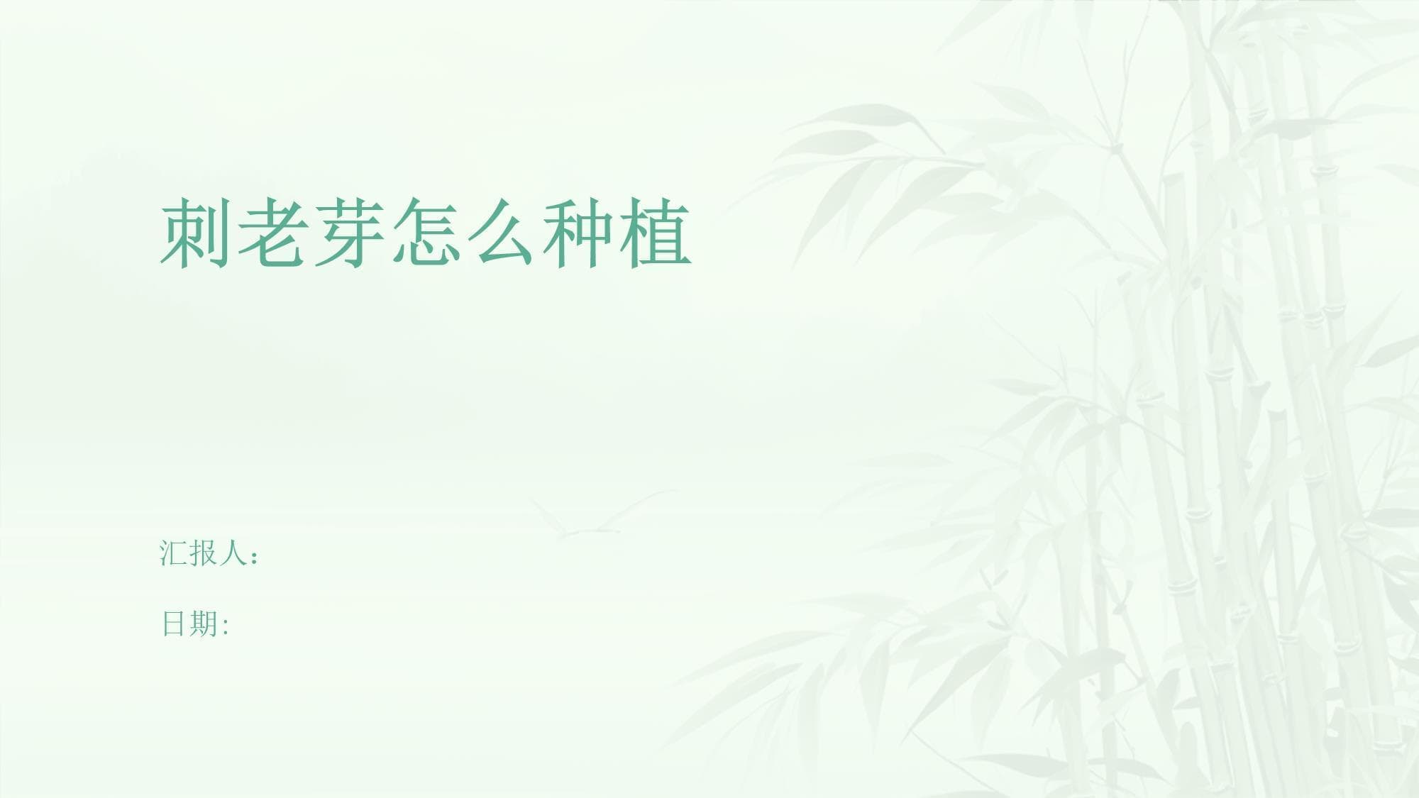 刺老芽种植技术详解：营养价值高，经济效益好