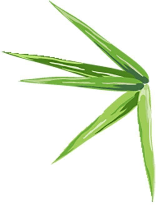 《红楼梦》中的“情”与“法” ——从“宝玉挨打”说起