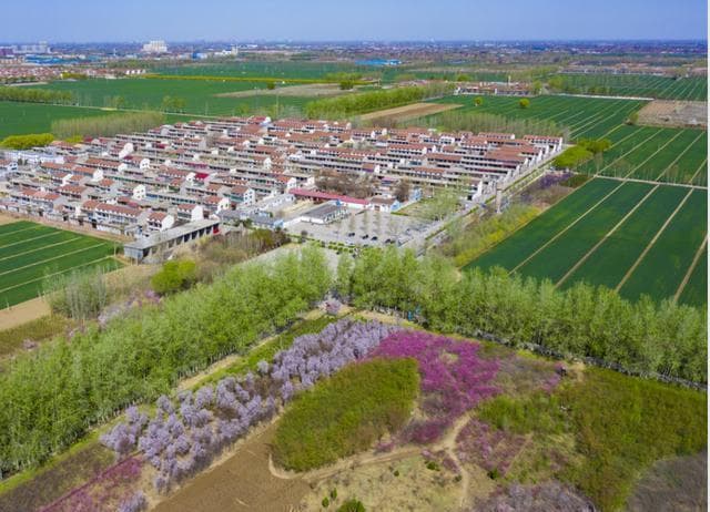 河北周家庄：70年集体经济创新实践，打造乡村振兴新样本