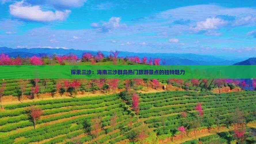 探索三沙：海南三沙群岛热门旅游景点的独特魅力