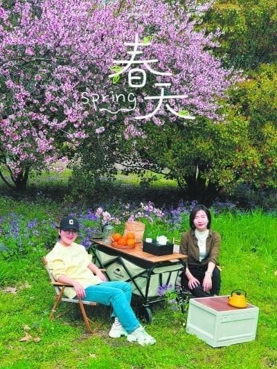 "离婚搭子"：一种新型的家庭模式正在悄然兴起