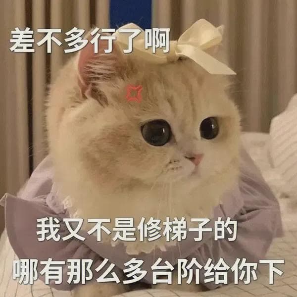张籍，一个现学现用的好诗人