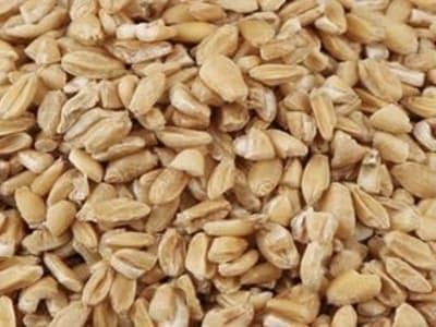 浮小麦：13种功效与临床应用全攻略