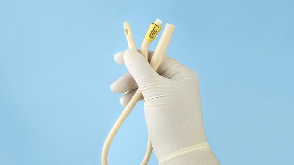 革兰氏阴性杆菌感染的病因、预防与治疗