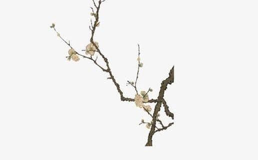 八字中败的含义 八字八败日解析