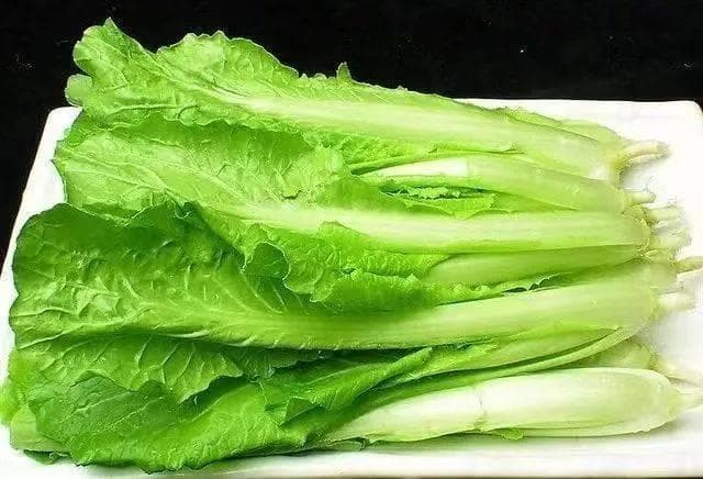 小白菜不是白菜？！