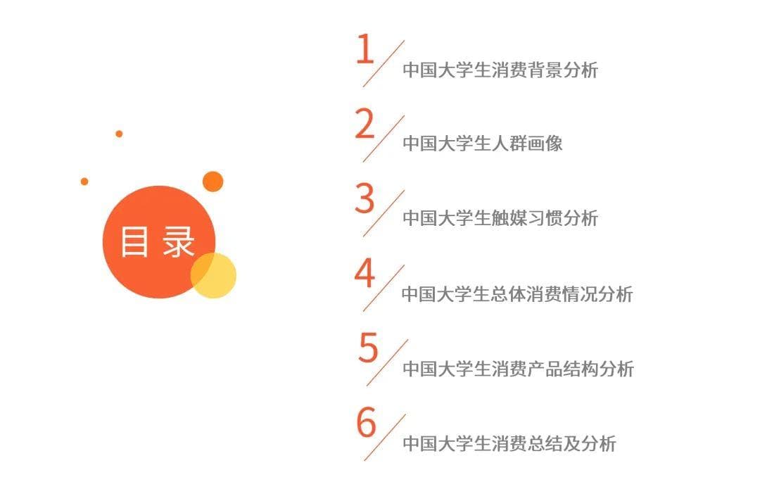 2024年中国大学生消费行为调查研究报告